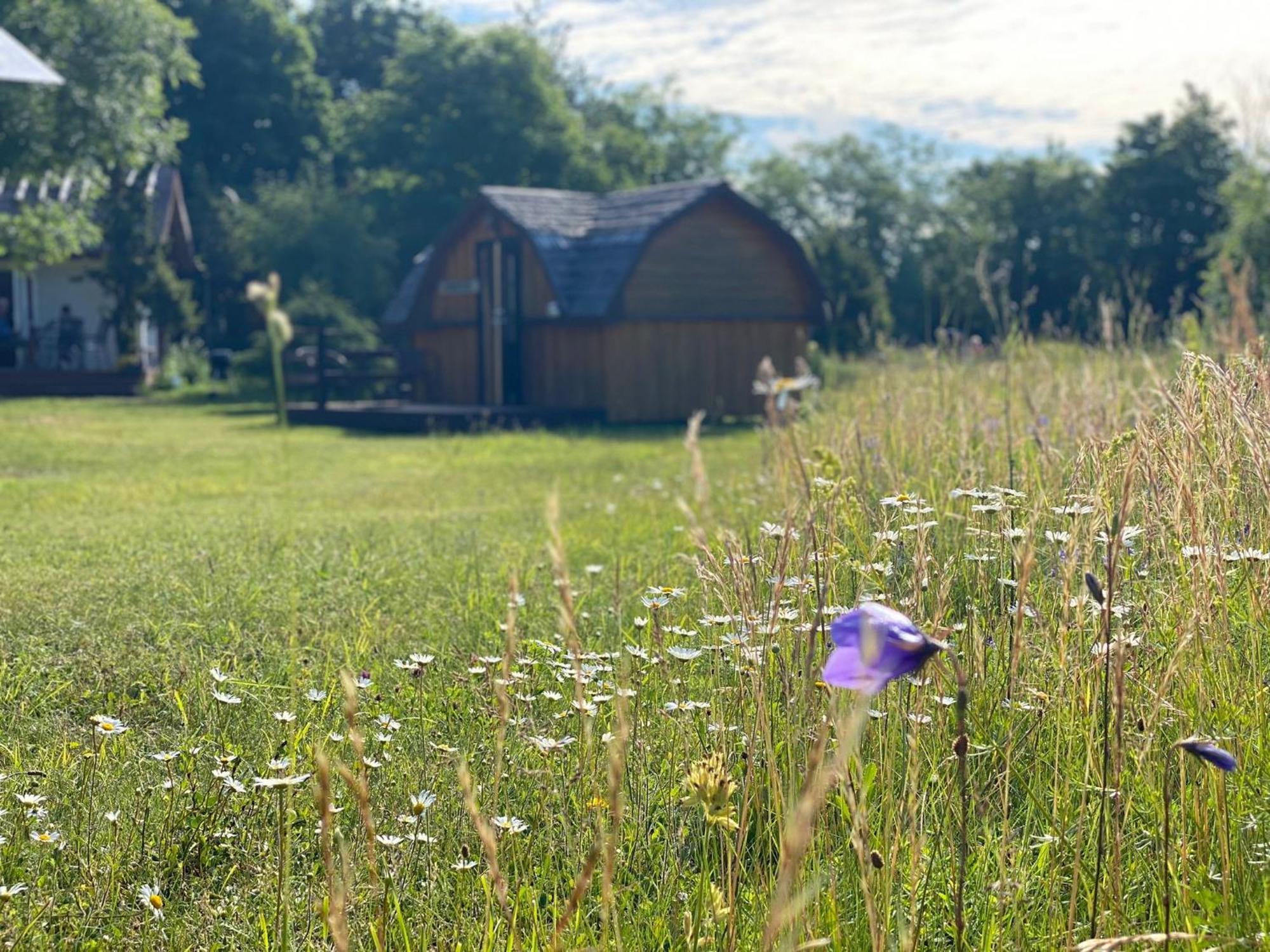 Kaespri Farmstay Koguva Экстерьер фото